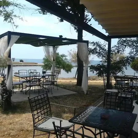 Apartment One Bedroom With Balcony *